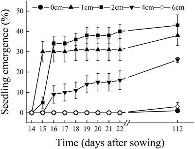 The Bet-Hedging Strategies for Seedling Emergence of Calligonum mongolicum to Adapt to the Extreme Desert Environments in Northwestern China